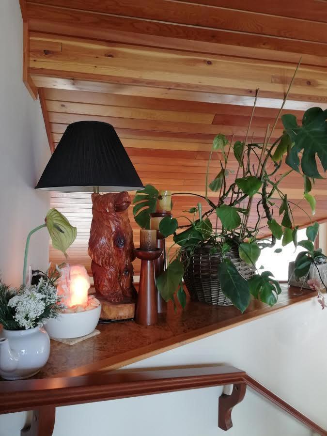 High Hopes Bed And Breakfast ภายนอก รูปภาพ